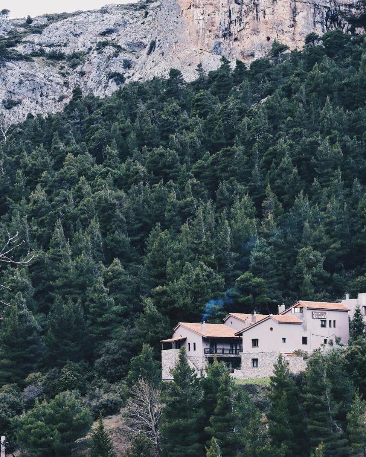 Guesthouse Vasiliki Steni Dhirfios Bagian luar foto